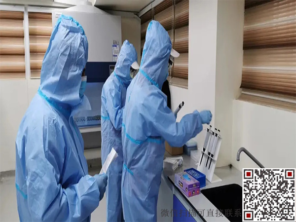 1696747753124272.jpg 5.16.5.jpg